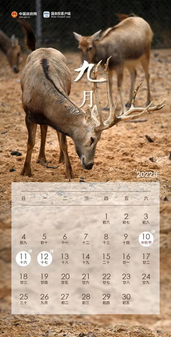放假通知！连休3天！这次不调休