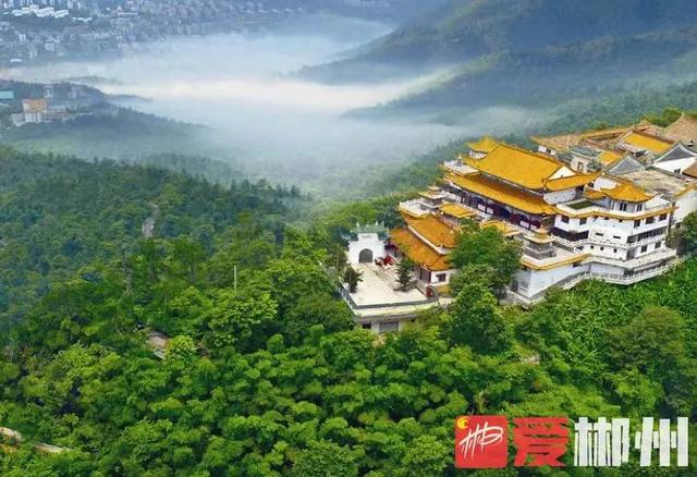 昨天我的家鄉郴州獲評2021中國·广东旅游总评榜年度最受欢迎国内旅游目的地