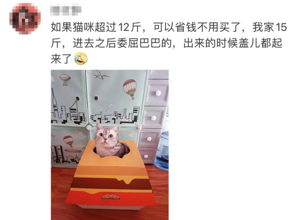 霸占俩热搜！小程序、APP崩了！这届铲屎官抢猫窝有点猛