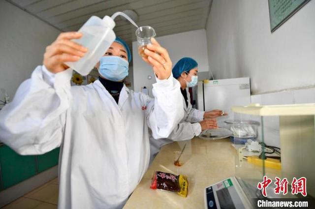 豆类脱皮洗砂机全套