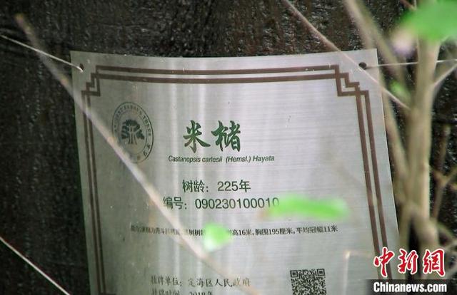 白泉小展塘配套加固工程施工单位