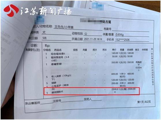 约克夏价格 约克夏价格（约克夏价格多少钱一只） 动物