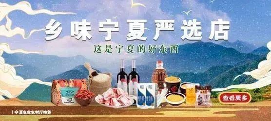 冬遊甯夏 助力冬奧丨冬季來沙湖，領略那塞北獨特的曼妙