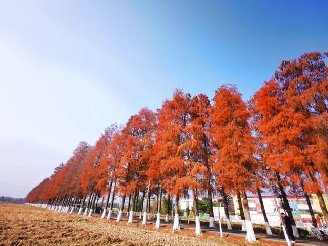 中國最美鄉村公路，就藏在廣東