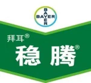 稳腾®喜获认证！拜耳绿色生资认证产品达17个4