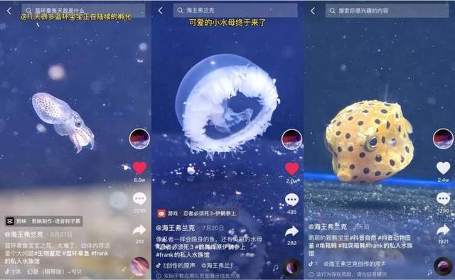 天水全自动过滤机