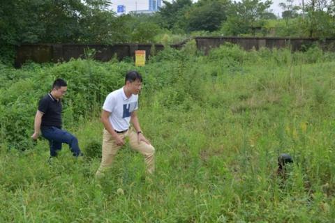 鄂州圆轮洗砂机价格