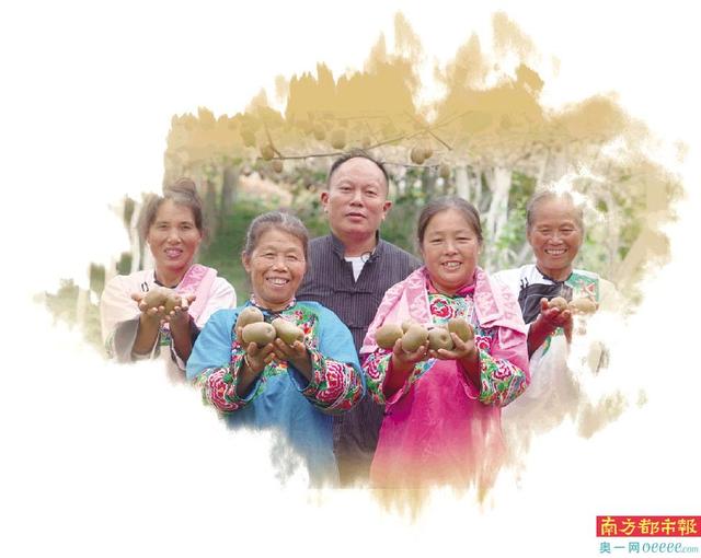 黄芩种植技术视频 借邻村地也能种出“金果”