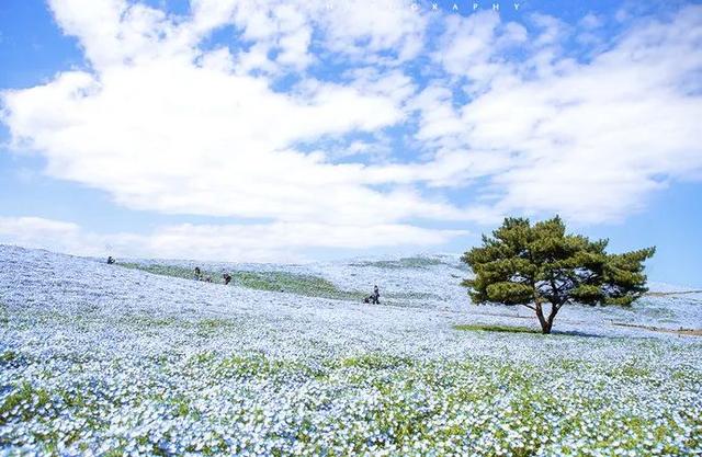 日本旅游景点