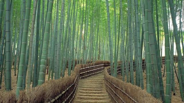 日本旅游景点