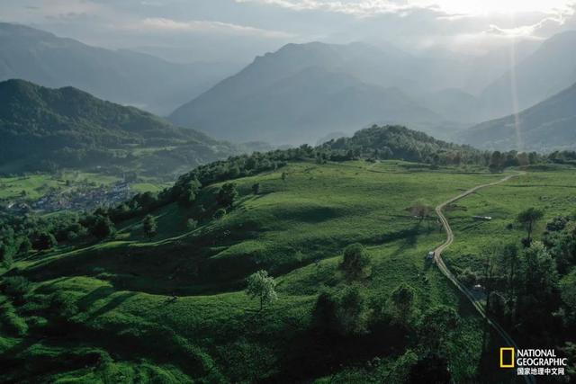 滌蕩人心！2021最美旅行照片