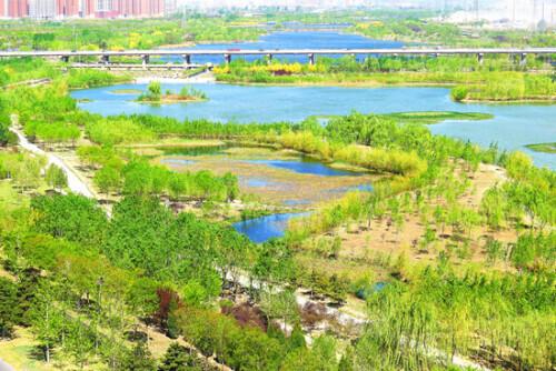 开封有个三儿txt下载(穿越之农家有儿子三个txt免费下载)