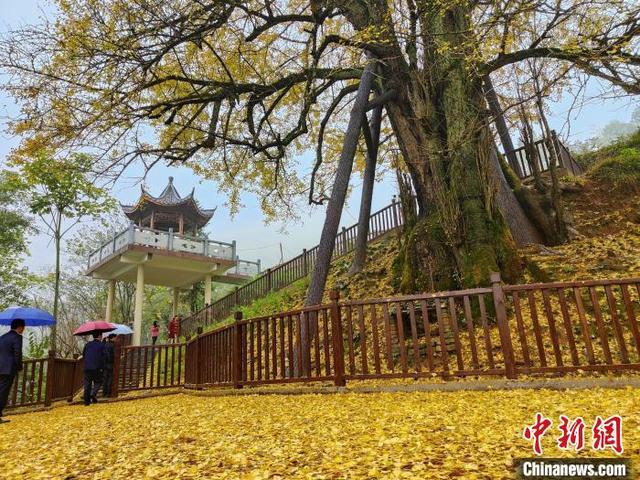 株洲制砂机型号