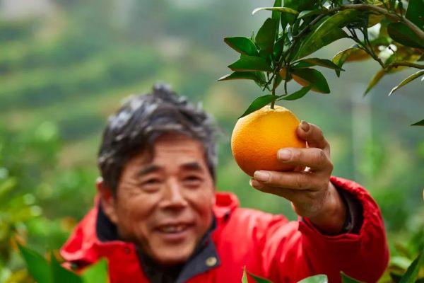 关于江西全自动压滤机价格的信息