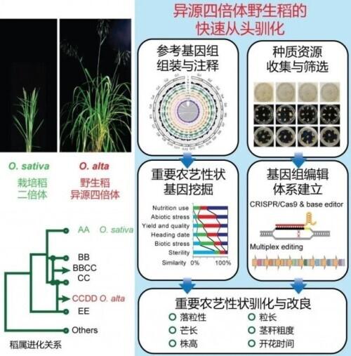 2.5米直径洗砂机