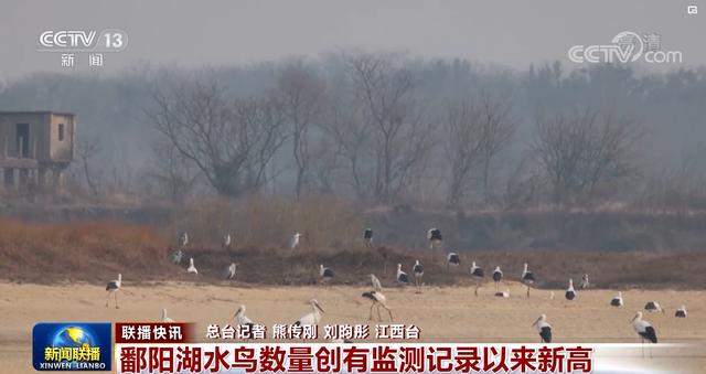 昆明船型洗砂机