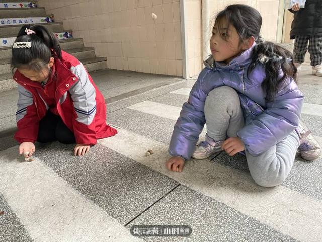 衢州石子制砂机