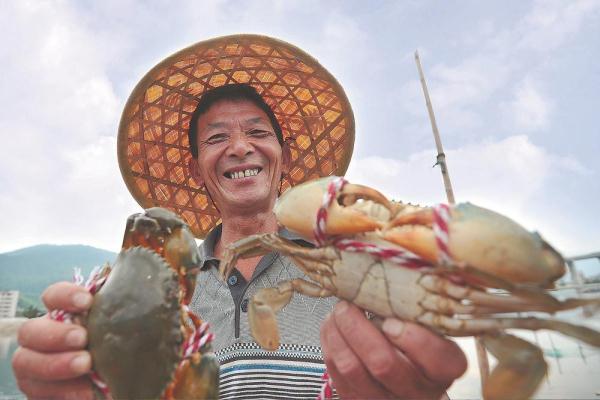 海南全自动过滤机