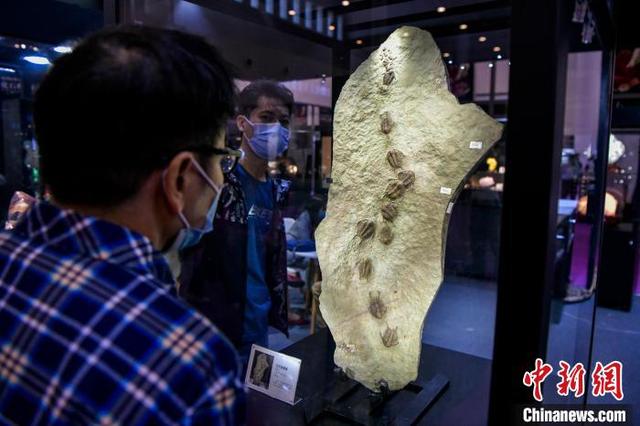 工程螺旋鑽石展覽會