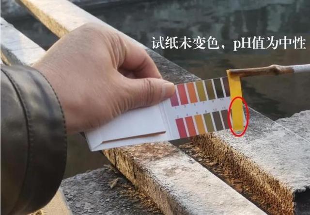 高压无泄漏节能隔膜压滤机泵