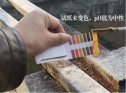 陕西全封闭压滤机_陕西搅拌站砂石分离机
