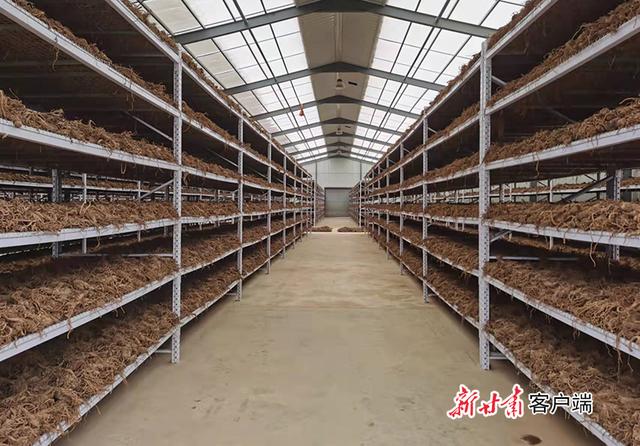 甘肃车载移动制砂机型号