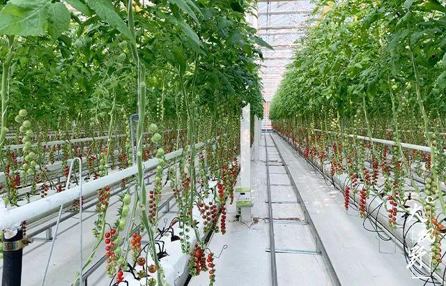 临朐展新工程机械租赁