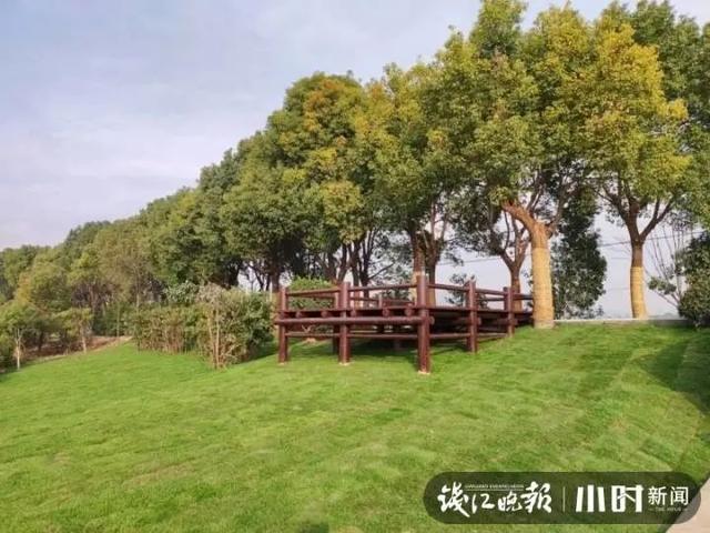 2021杭州国际工程机械展