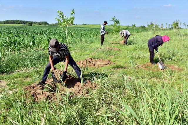工程项目建设未来三年发展