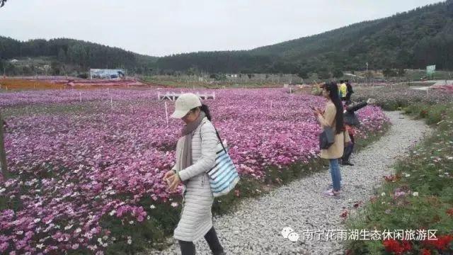 南阳市小型鹅卵石制砂机