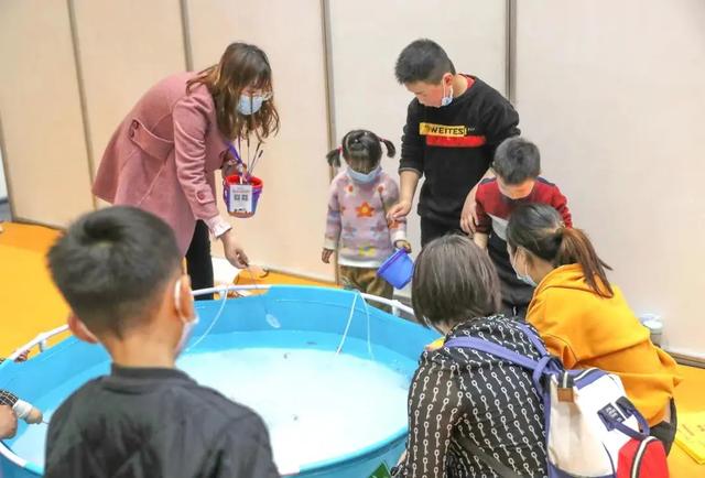 水族展 水族展（上海国际水族展） 动物