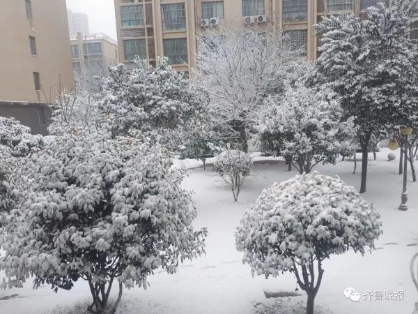 泰安满庄洗砂机