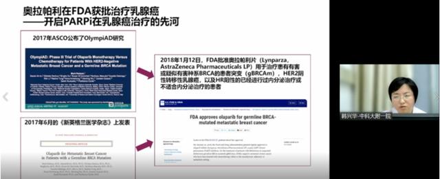 HER2-ADC、CDK4/6i、PARPi……一文解讀乳腺癌年度學術關鍵詞