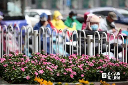 云南滇展市政工程公司