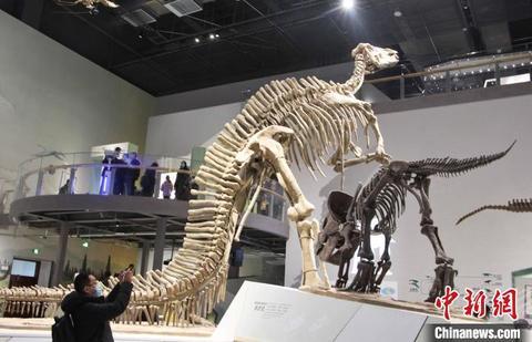 山东第一场机械展
