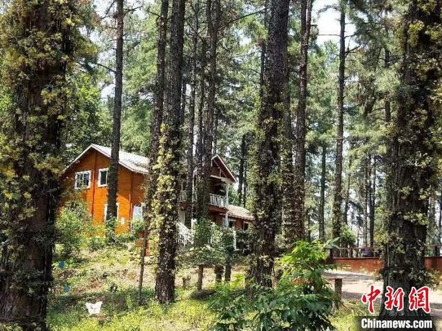 浙江展图工程咨询