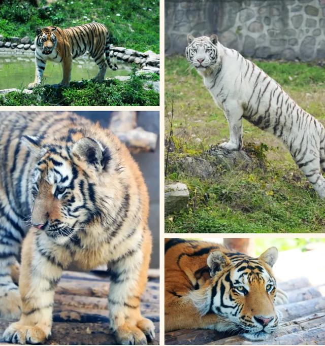 西安展祥建筑工程