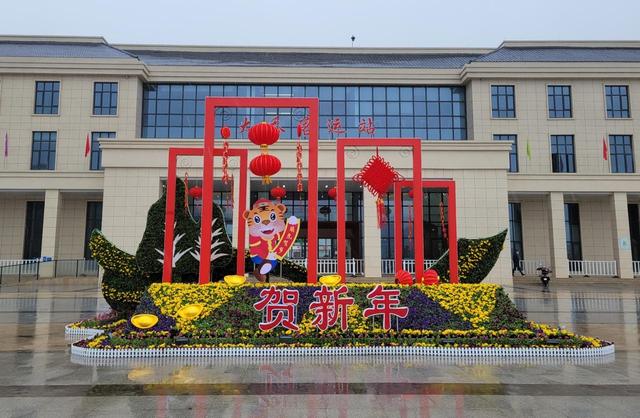 六横城管局打造花卉景观 欢度新春佳节