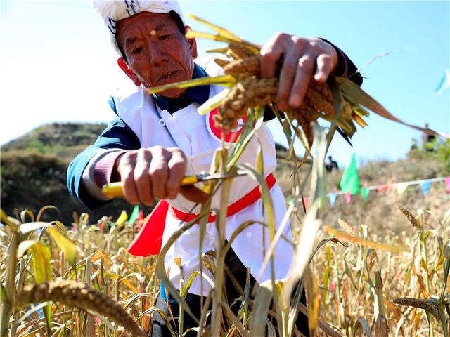 柳州洗砂机批发
