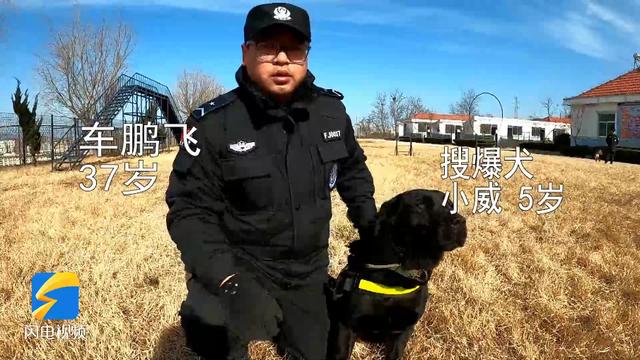 警犬来了