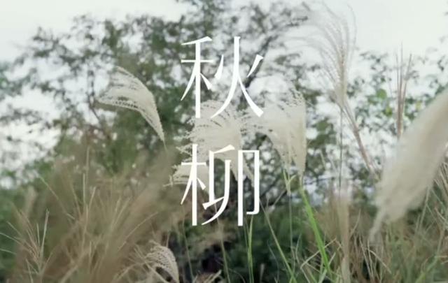 心灵手巧的意思