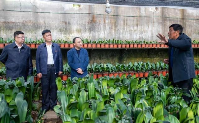 重庆泓展工程咨询