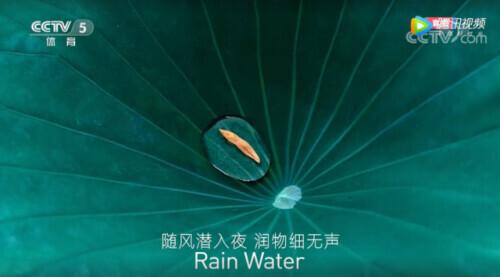 有弟皆分散