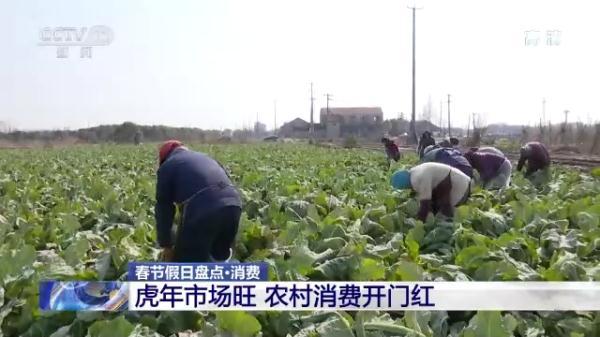 湖州机械展设计费用