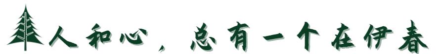 伊春市2022年度公开招聘大学生到村（社区）任职公告