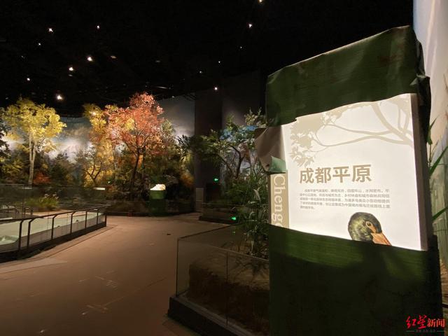 四川工程灯光展批发