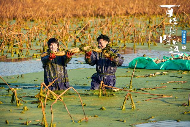 土豆鸡皮疙瘩系列3