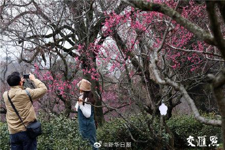 梅花山 梅花山（梅花山自然保护区） 生活