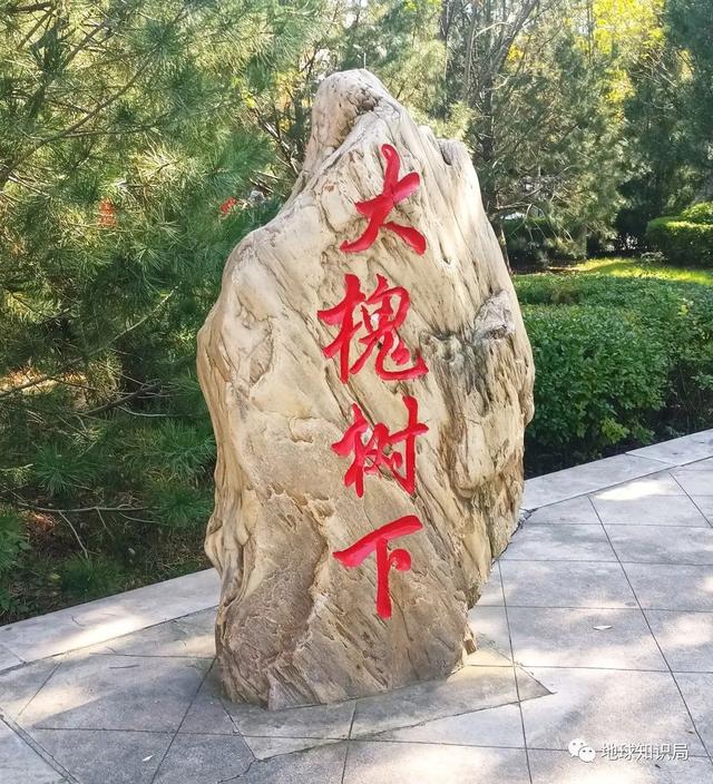山西大槐树传说，究竟是什么？