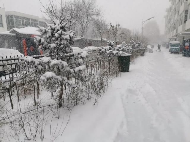 大雪飘飘打一成语